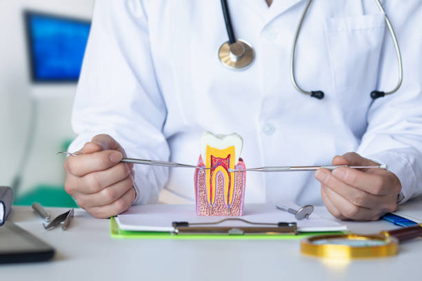 Best Broken or Chipped Tooth Repair in Pasatiempo, CA